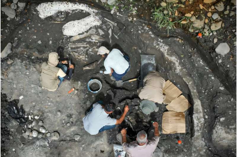 Costa Rica Unearths 40,000-Year-Old Mastodon and Sloth Bones - Image 2