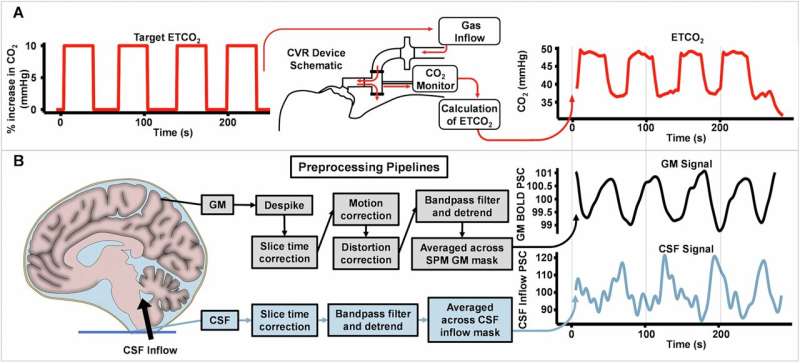 Breathing Exercises May Clear Alzheimer's, Parkinson's Toxins - Image 3