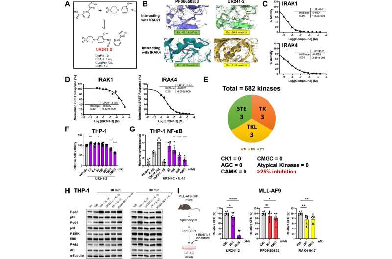 Scientists Find New Weakness in Deadly Blood Cancer - Image 3