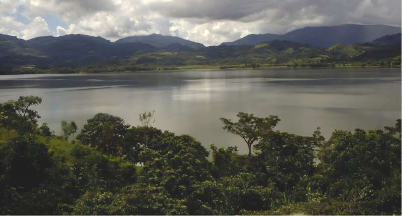 Panama Rewilding Could Restore Lost Ecosystem Magic - Image 2