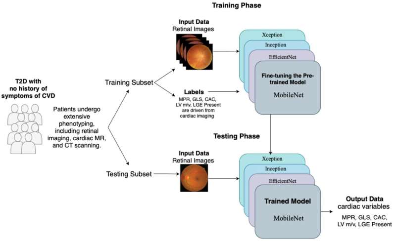 Eye Scans Predict Heart Disease in Diabetes Patients - Image 3