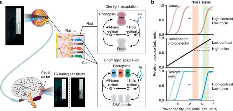 New Camera Sensor Sees Hidden Objects 1,000x Better - Image 3