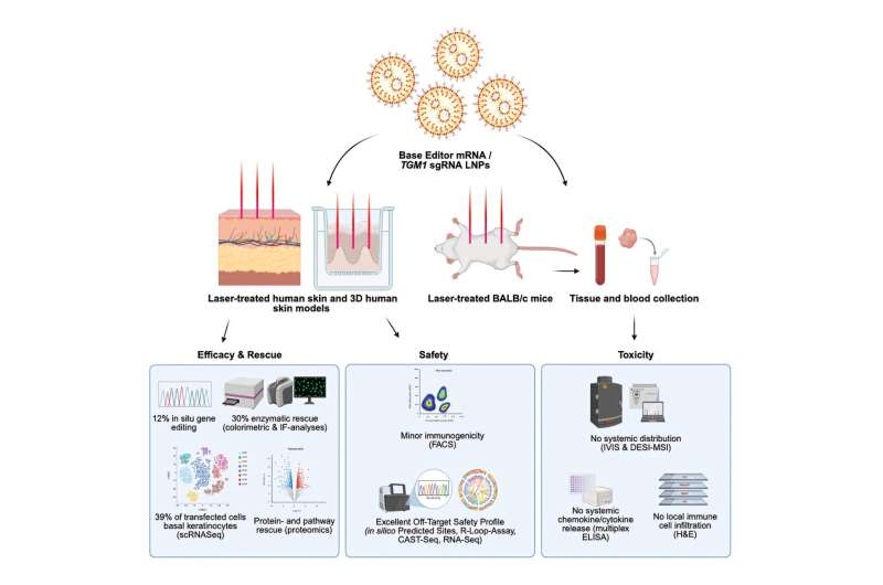 Gene Cream Could Cure Rare Skin Disease With One Treatment - Image 4