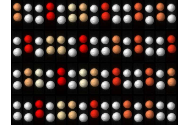 NYU Scientists Create Time Crystals You Can Hold - Image 4