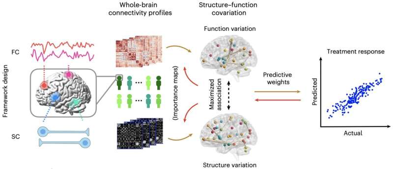 AI Predicts Best Depression Meds, Ending Trial and Error - Image 3