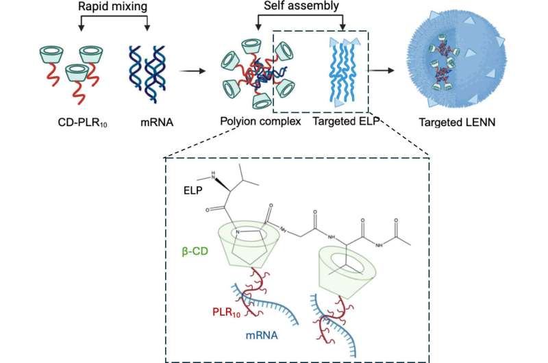 New Cancer Treatment Stays Stable at Room Temperature - Image 3