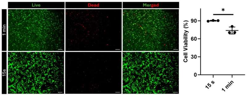 Light-Activated Gel Heals Wounds Like Natural Tissue - Image 3