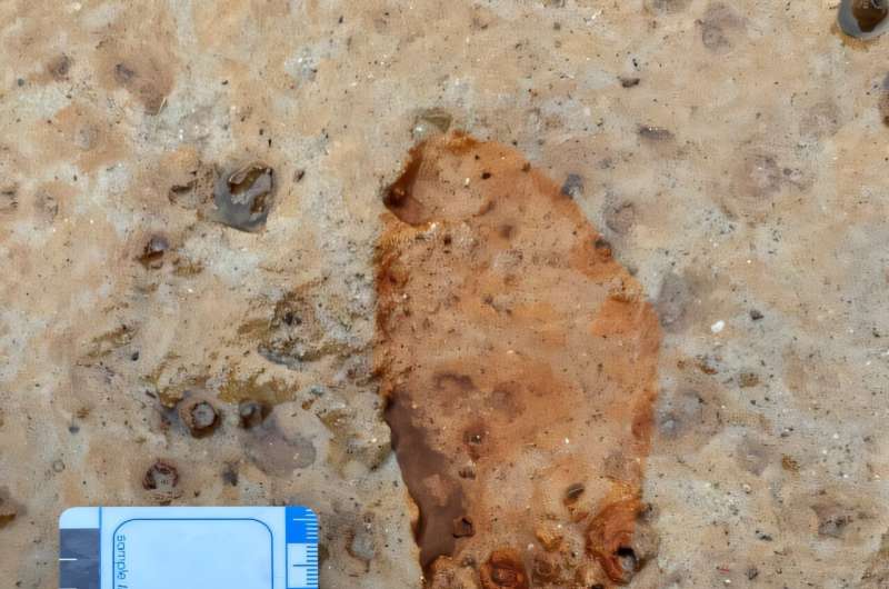 Storms Reveal 2,000-Year-Old Footprints on Scottish Beach - Image 4