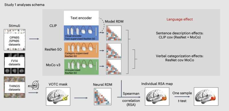 Exciting Discovery: Language and Vision Work Together in Beautiful Harmony - Image 3