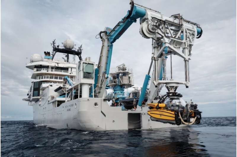 Scientists Discover New Species 1,000 Meters Deep - Image 5