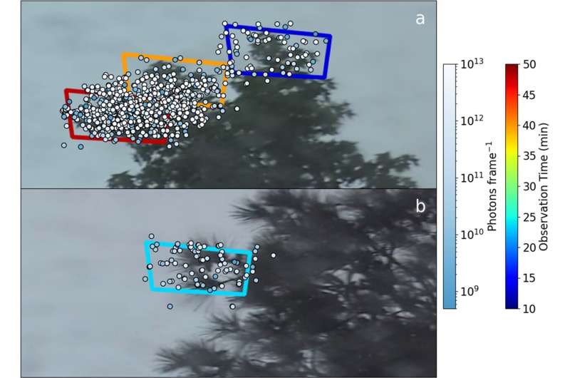 Scientists Film Blue Glow on Trees During Thunderstorms - Image 4
