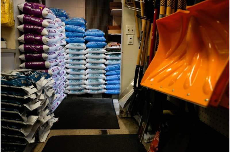 Safer Salt Alternatives Protect Pets and Plants This Winter - Image 4