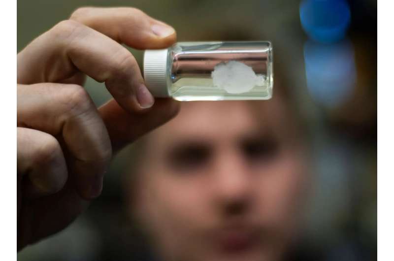 High Schooler Leads Lab Creating Jell-O Brains for TBI - Image 3