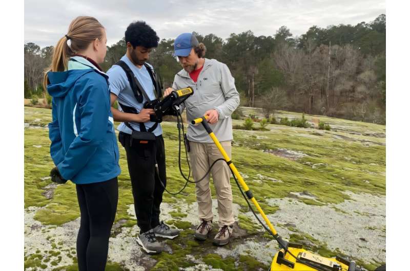 Scientists Map How Bare Rock Transforms Into Forest - Image 3
