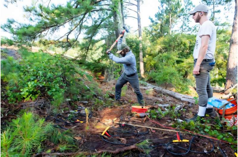 Scientists Map How Bare Rock Transforms Into Forest - Image 2