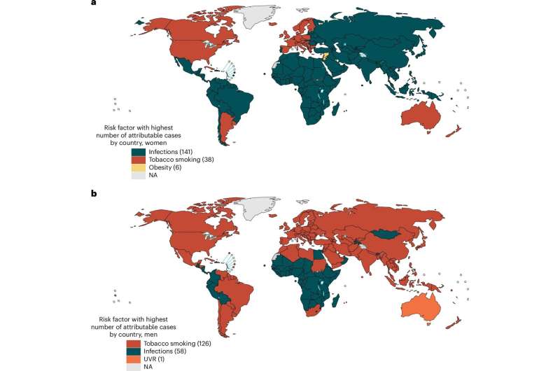 40% of Cancers Worldwide May Be Preventable, Study Finds - Image 3