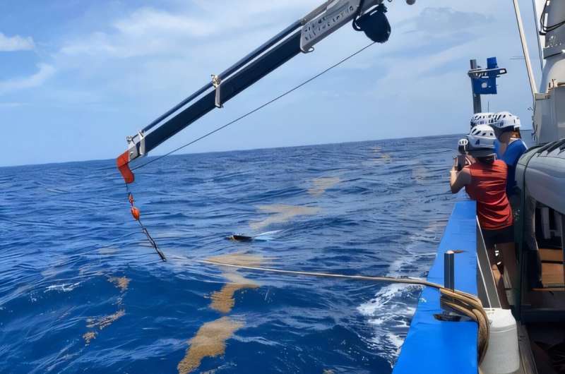 AI Reveals Ocean Algae Blooms Growing 13% Each Year - Image 3