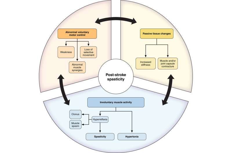 New Guidelines Help Stroke Survivors Recover Movement Faster - Image 3