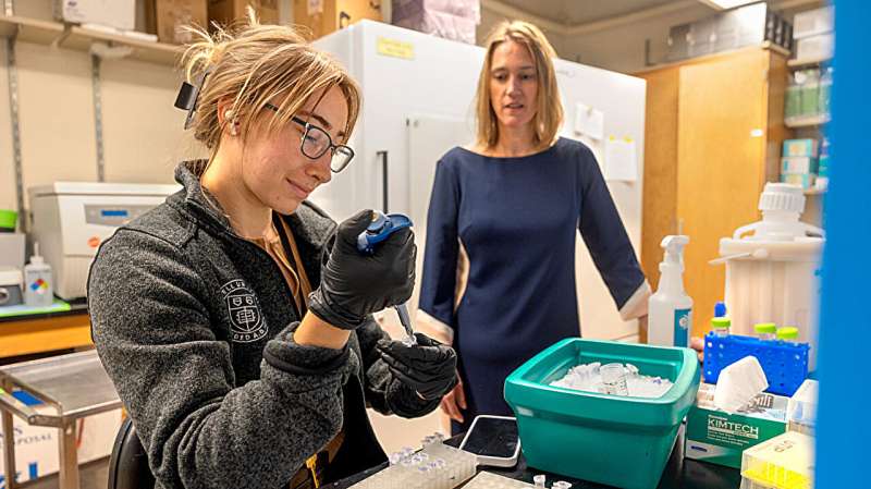 Vitamin B12 May Slow Aging and Boost Muscle Health - Image 2