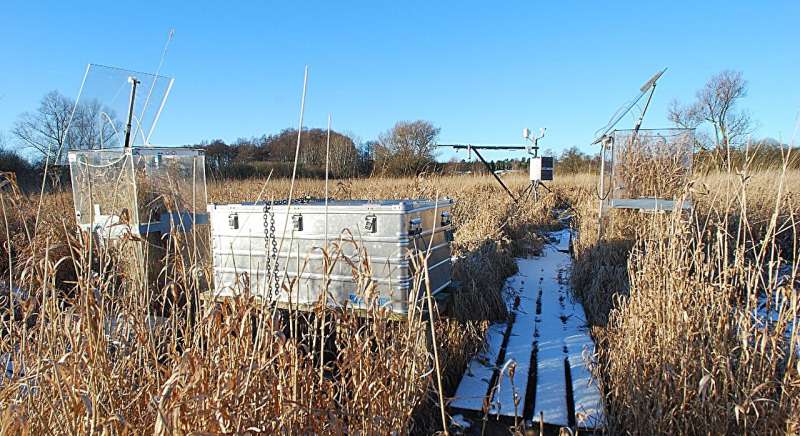 Denmark's Wetlands Fight Climate Change Without Flooding - Image 2