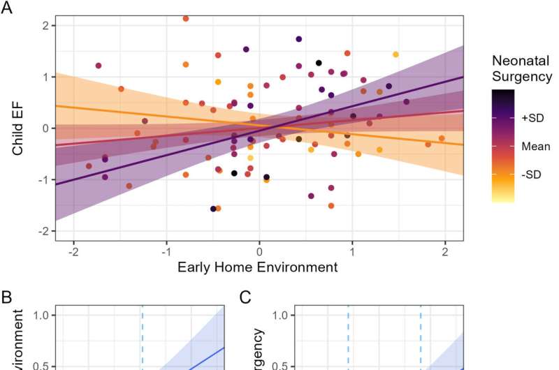 17-Year Study Shows How Parents Can Reduce Child ADHD Risk - Image 3