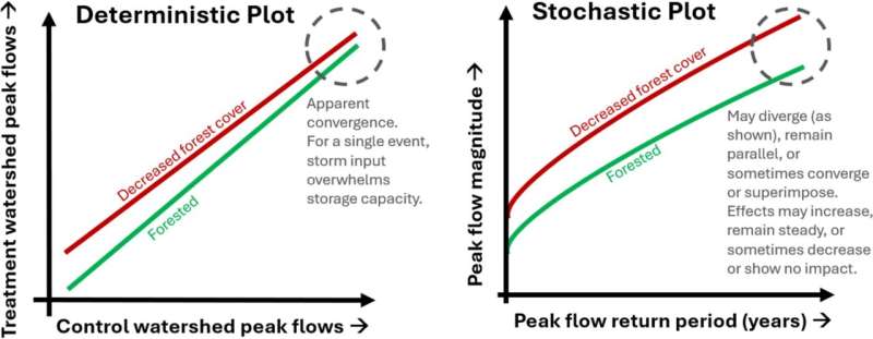Forests Reduce Major Flood Risk More Than We Thought - Image 3