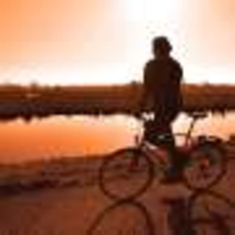 Scientists Discover Promising Path to Healing Trauma Through Memory Research - Image 4