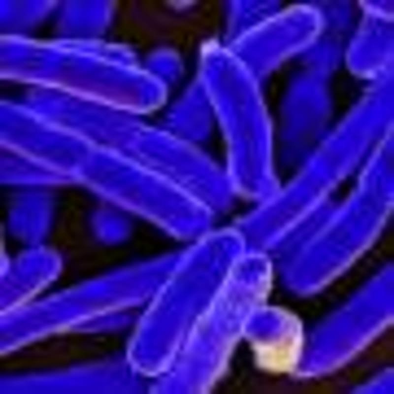 AI Lab Discovers Breakthrough mRNA Delivery Method - Image 5