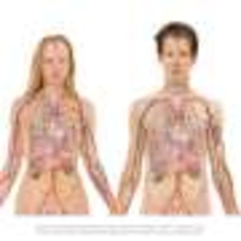 Timing Dinner 3 Hours Before Bed Boosts Heart Health - Image 4