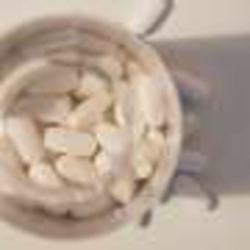 New OCD App Shows 65% Success Rate in Mass General Trial - Image 5