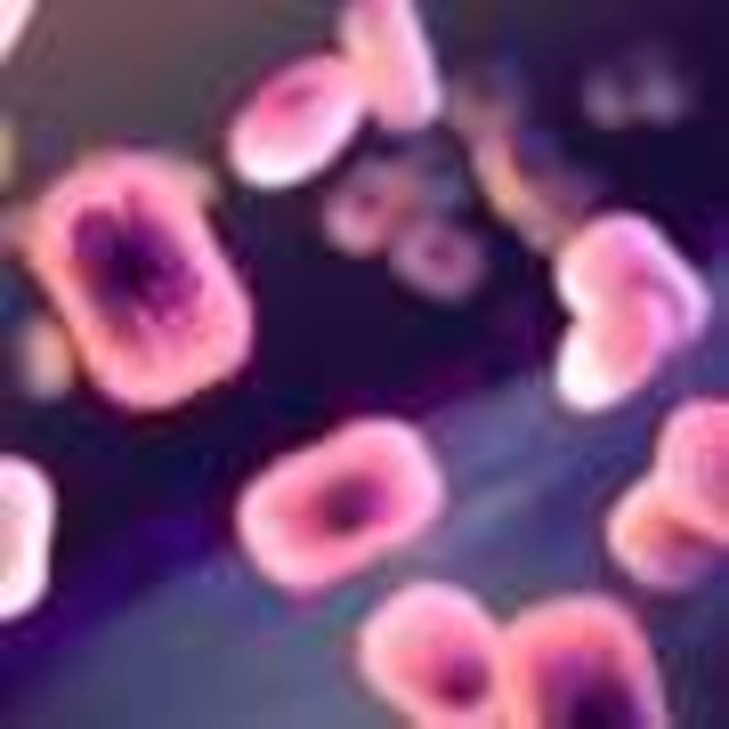 Nutrition Experts Push for Better US Dietary Guidelines - Image 4