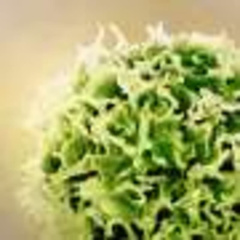 Pomegranate Compound Breaks Down Heart Disease Proteins - Image 4