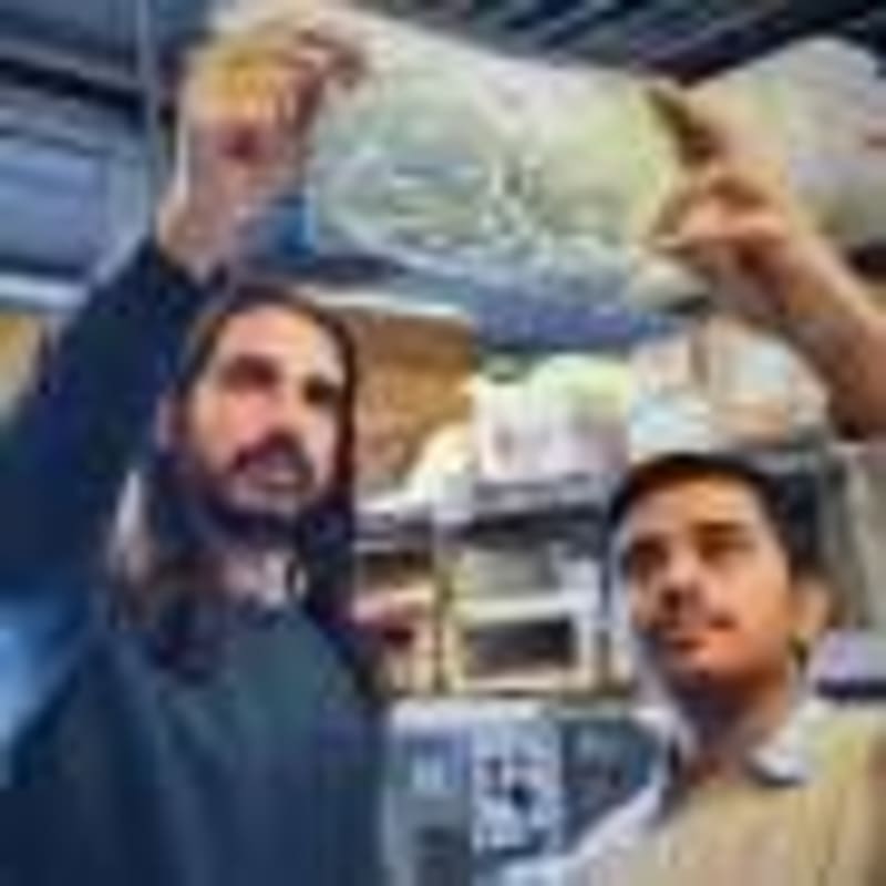 India's Cheetah Population Hits 38 After New Cubs Born - Image 3