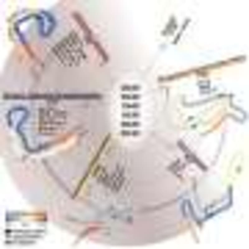RNA Therapy Cuts Infant Hydrocephalus by 67% in Mice - Image 5
