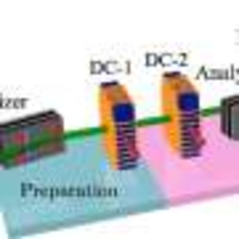 Panama Rewilding Could Restore Lost Ecosystem Magic - Image 5