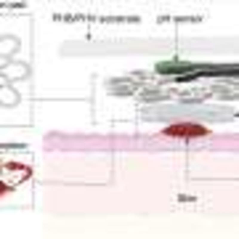 Nasal Spray Vaccine Blocks Bird Flu in Lab Animals - Image 4