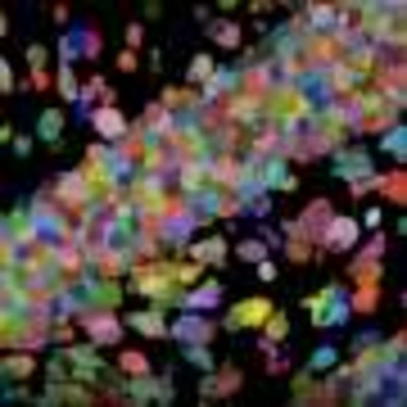 Photon Pairs Crack Major Quantum Computing Error Problem - Image 4