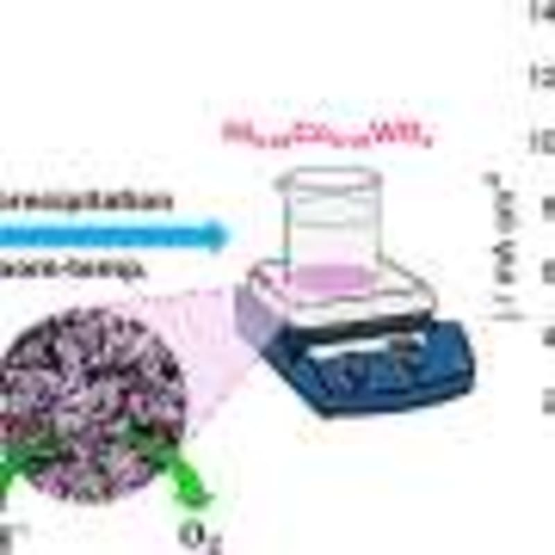 German Lakes Restored to Health Using Underwater Plants - Image 3