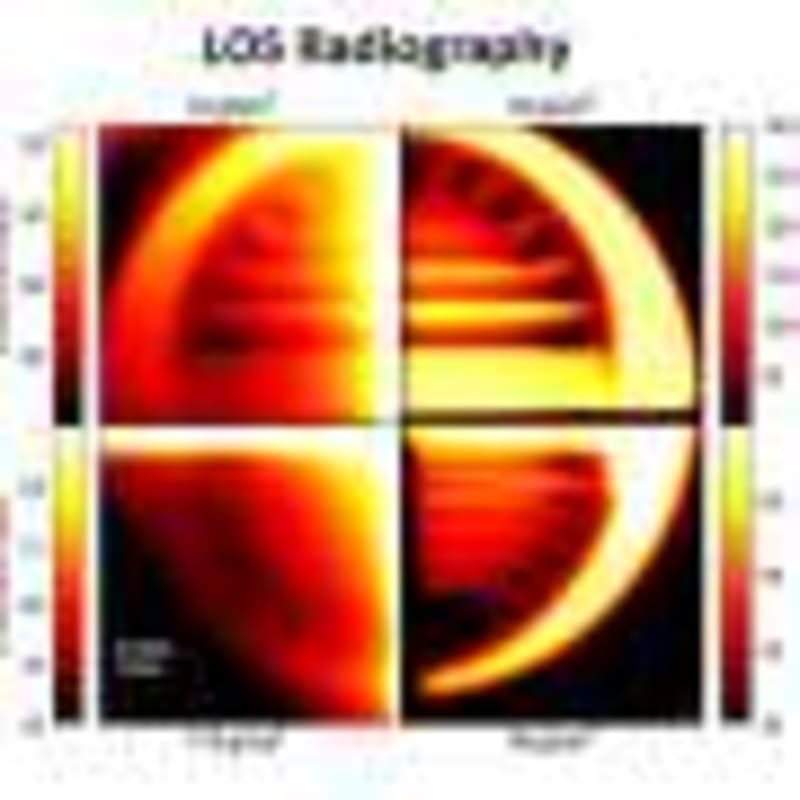 Invasive Sparrows Help Scientists Detect Heavy Metals - Image 5