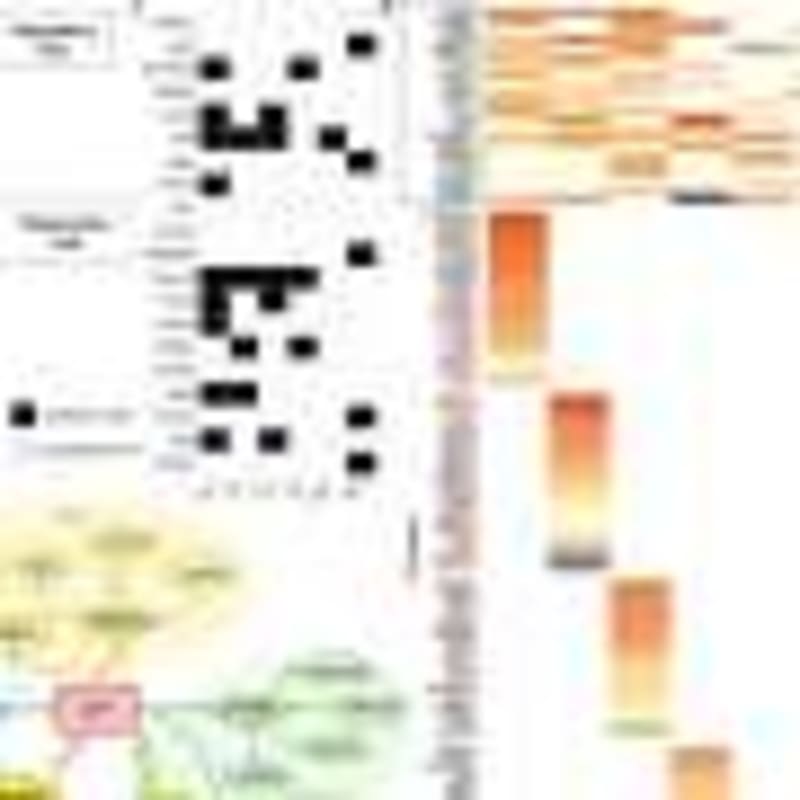 New Drug Combo Speeds Thinking in Schizophrenia Patients - Image 4