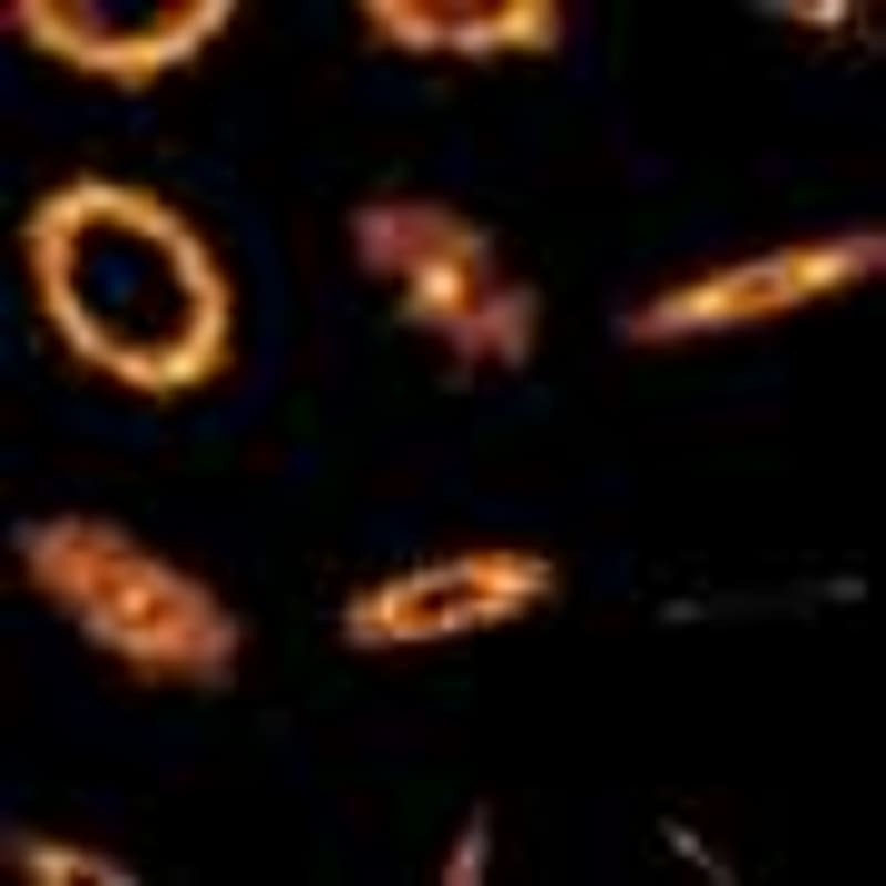 Deep Sea Mud Reveals Pattern in Pacific Mega-Earthquakes - Image 4