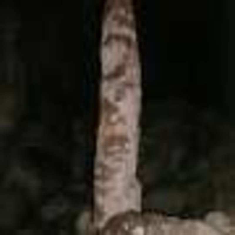 Seattle Study Reveals Gig Economy's Complex Pay Challenge - Image 4