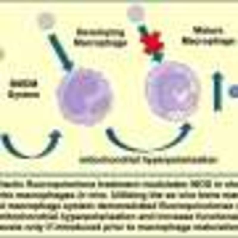Vitamin B3 Shows Promise in Preventing Glaucoma Blindness - Image 5
