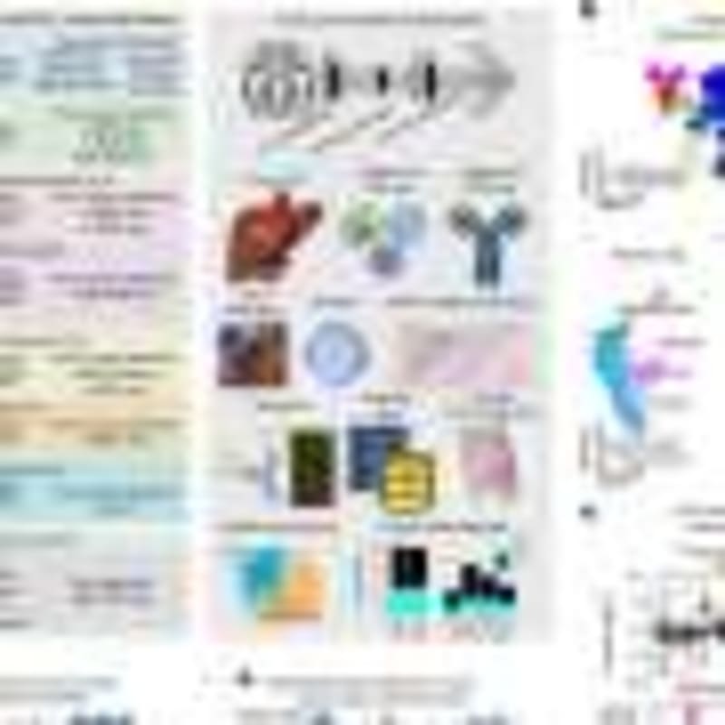 Boston Hospital Program Cuts Gun Violence Victims' Risk by 50% - Image 4