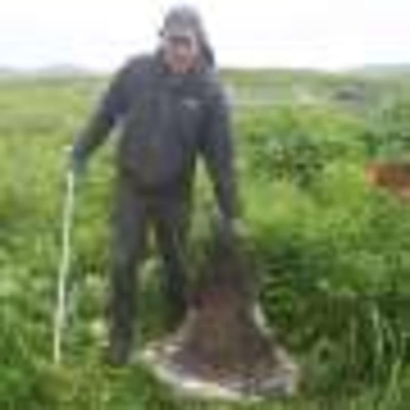 Scientists Stop Catalysts from Losing Power with 1 Atom - Image 5