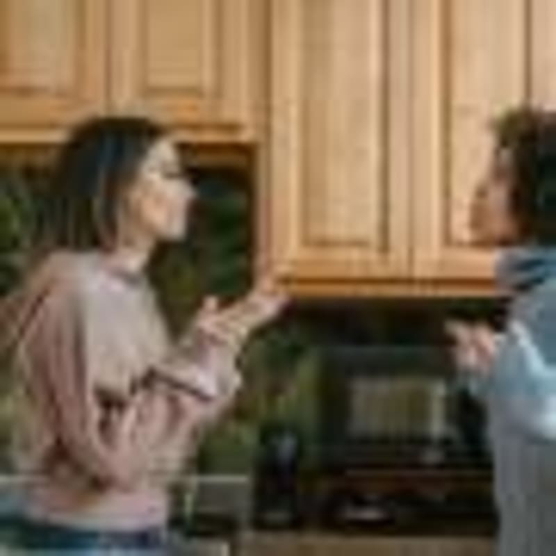 Ethiopia Cuts Harness Wounds for 13M Working Horses - Image 5