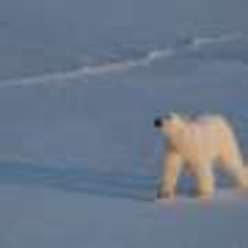 Scientists Build Lab-Grown 'Circuit Board' Mimics Human Brain - Image 5