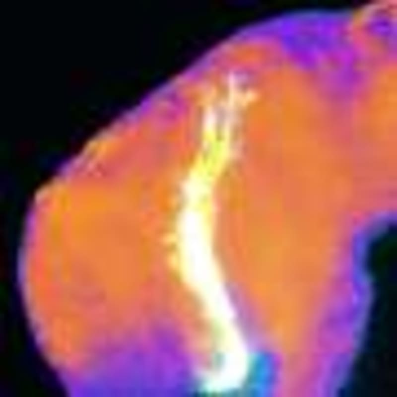 Satellites Detect Invasive Weeds with 89% Accuracy - Image 5