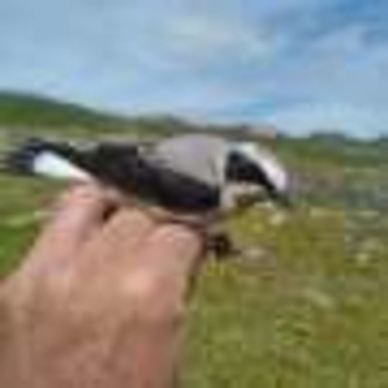 Scientists Create Flexible Force Fields for Moon Missions - Image 3