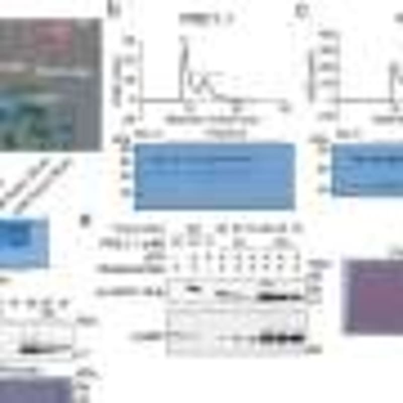 3 Simple Diet Changes Cut Chronic Disease Risk, Study Shows - Image 5